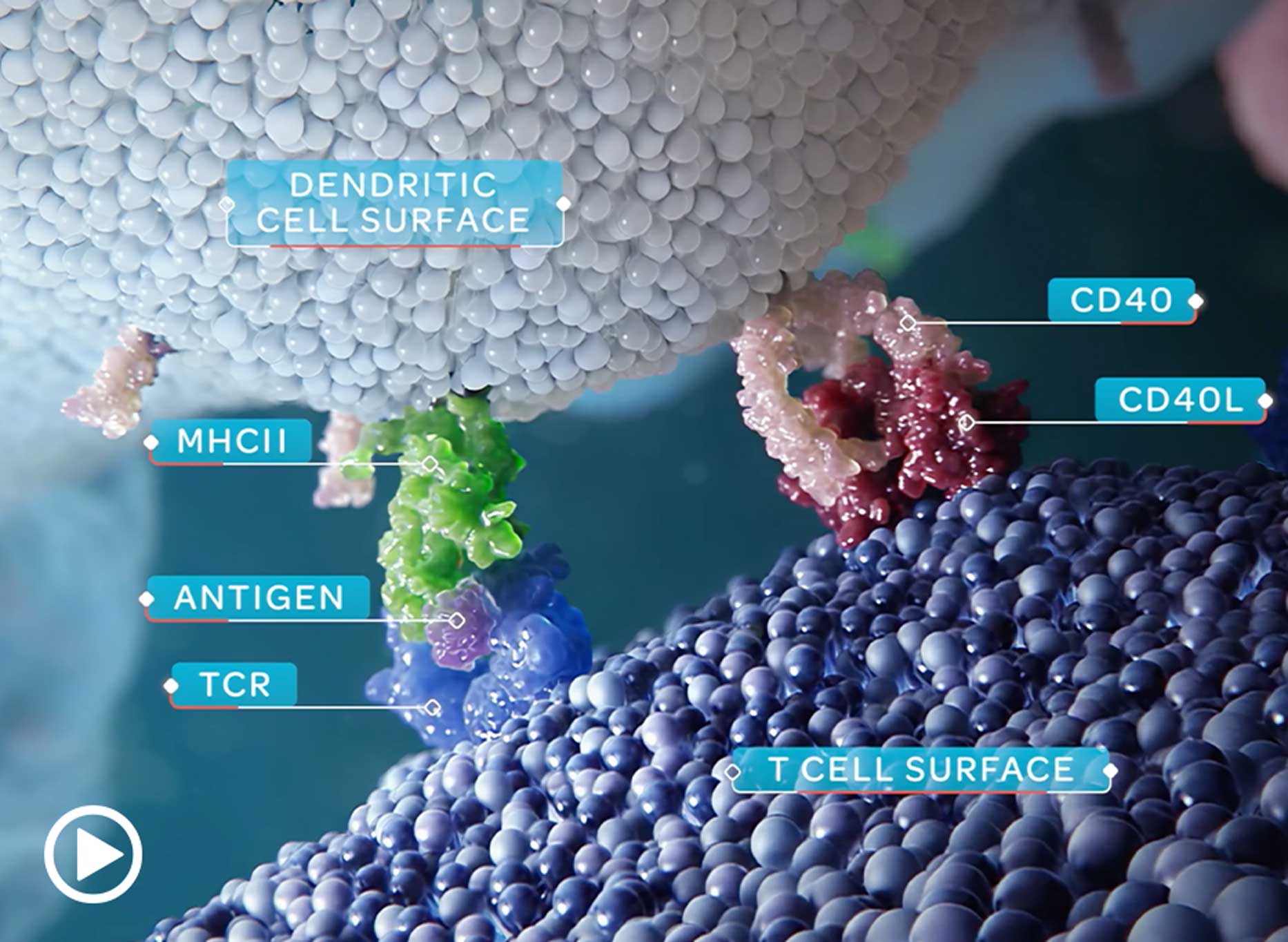 mechanism of action eperisone
